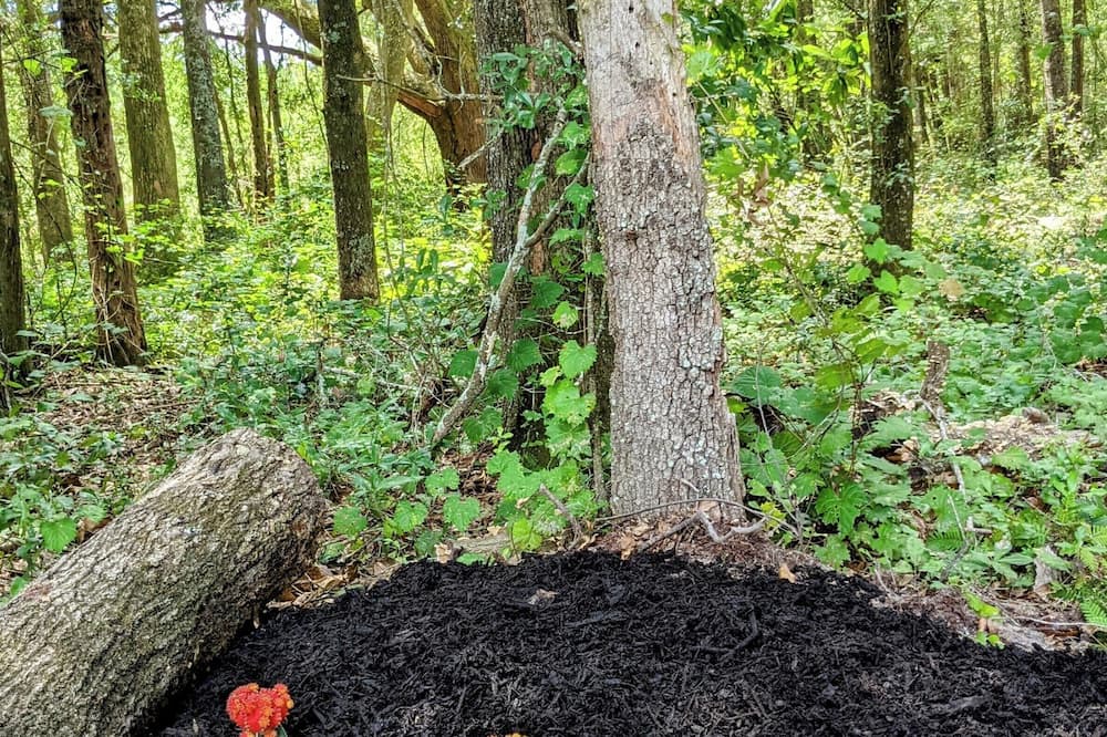 Photo of Outdoor in White Springs