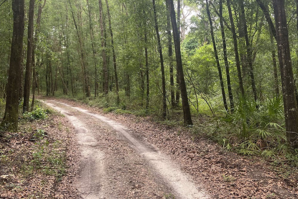 Photo of Outdoor in White Springs