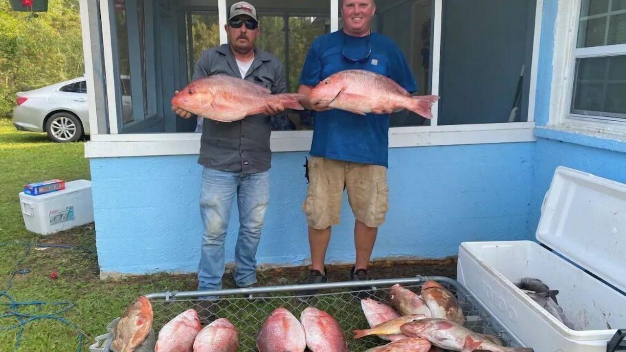 Photo of Outdoor in Panacea