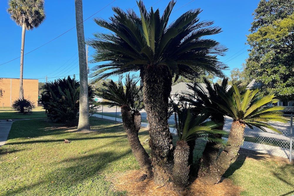 Photo of Outdoor in Williston