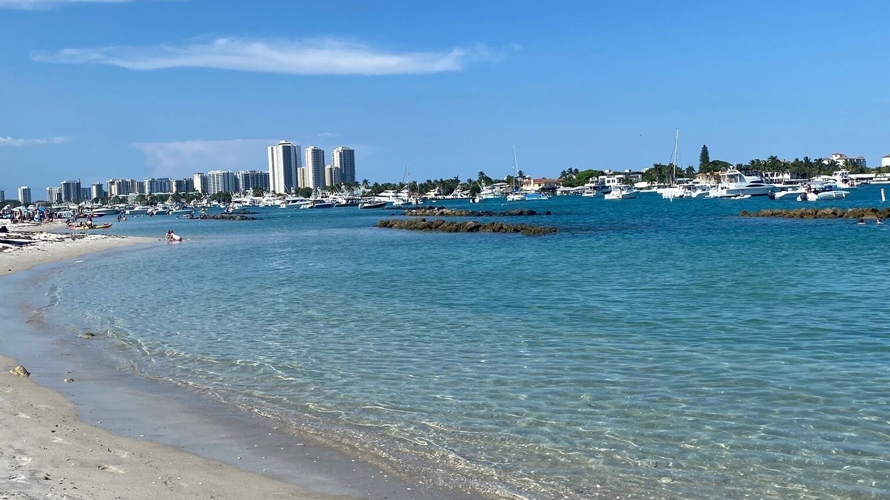 Photo of Others in Florida North Atlantic Coast