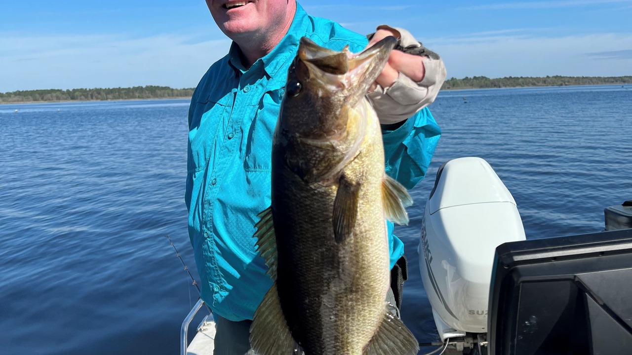 Photo of Others in Palatka