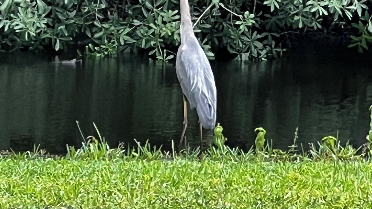 Photo of Outdoor in Palatka