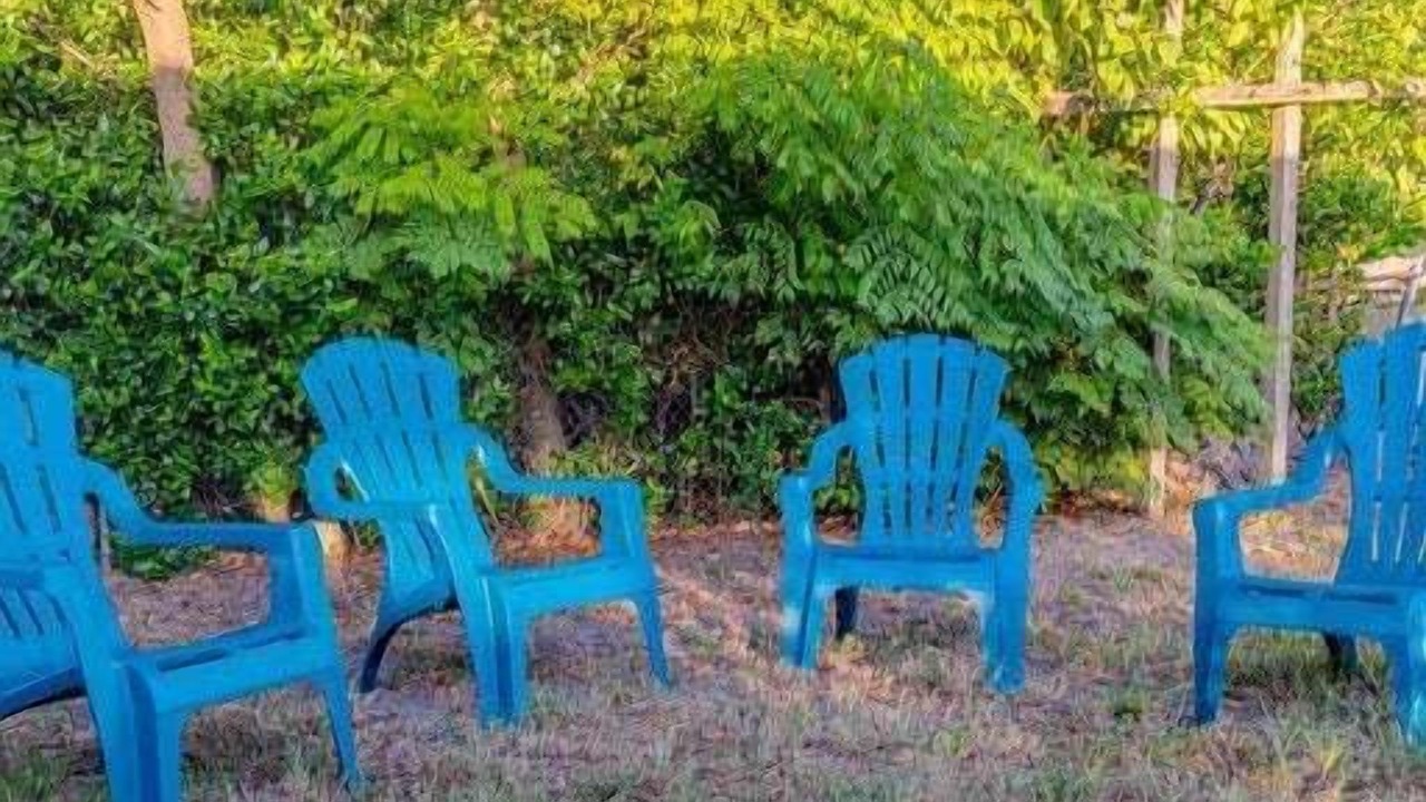 Photo of Outdoor in Walsingham