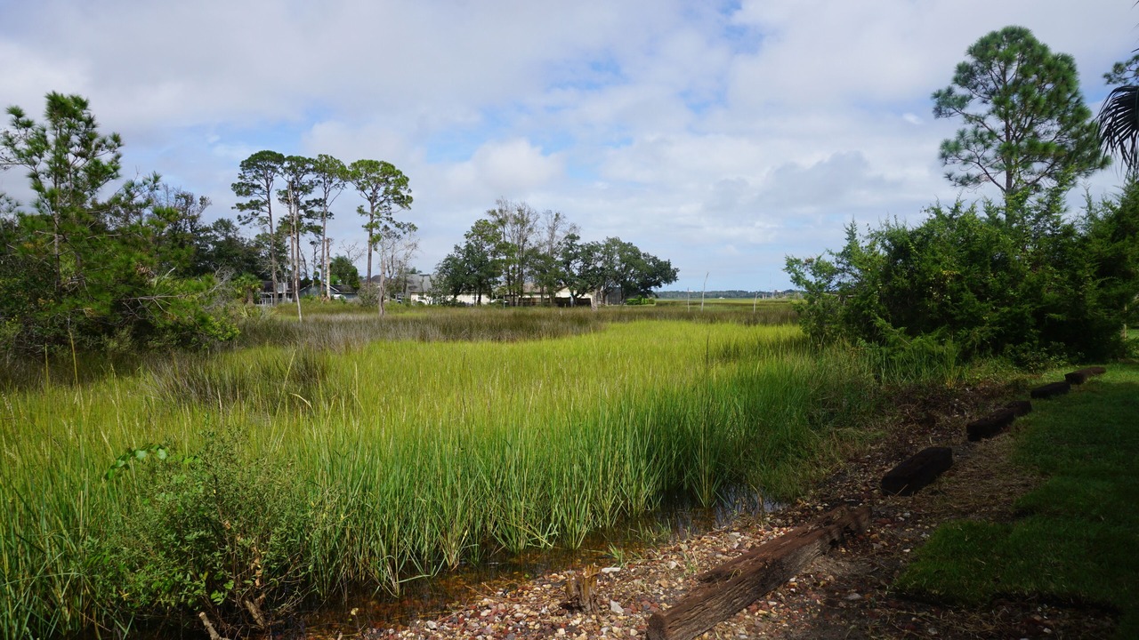 Photo of Outdoor in Isle of Palms