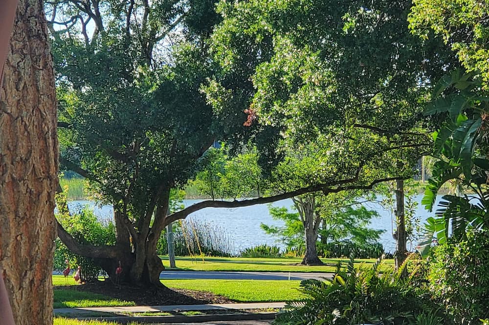 Photo of Outdoor in Dixieland