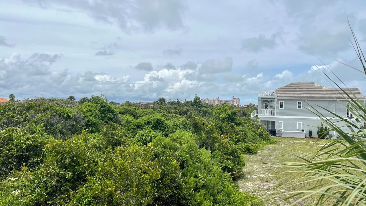 Photo of Outdoor in Palm Coast