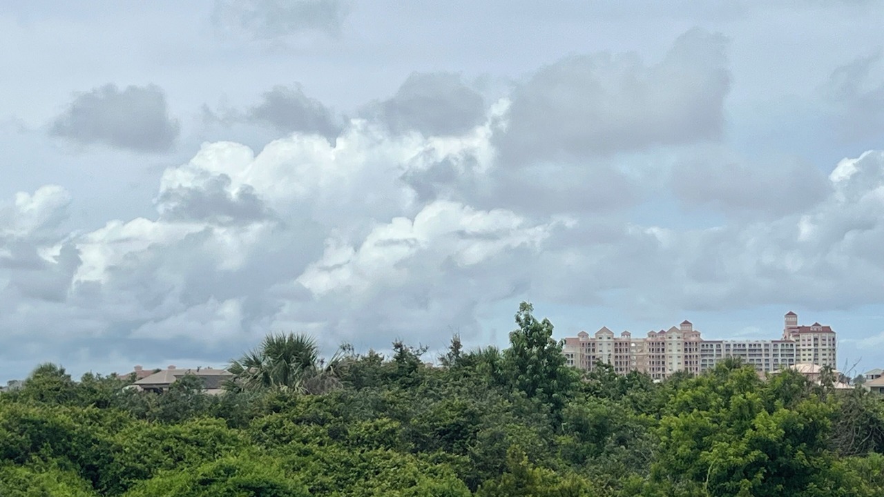 Photo of Outdoor in Palm Coast