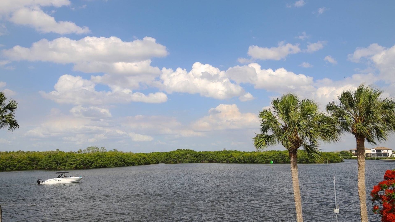 Photo of Outdoor in Ruskin