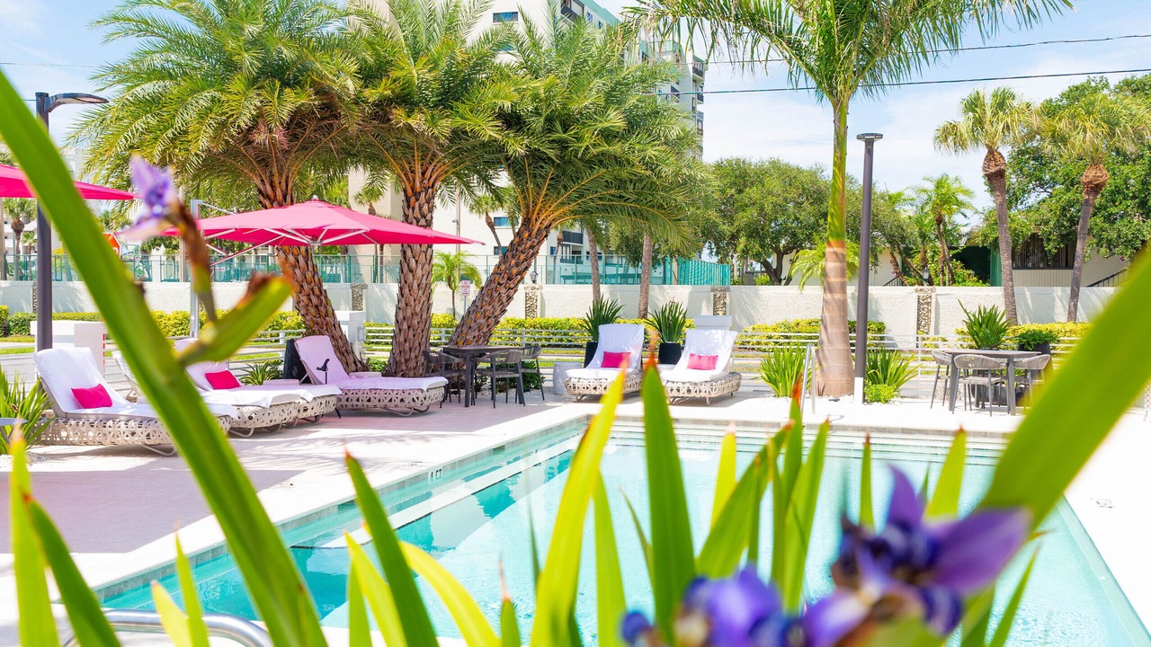 Photo of Outdoor in St. Pete Beach