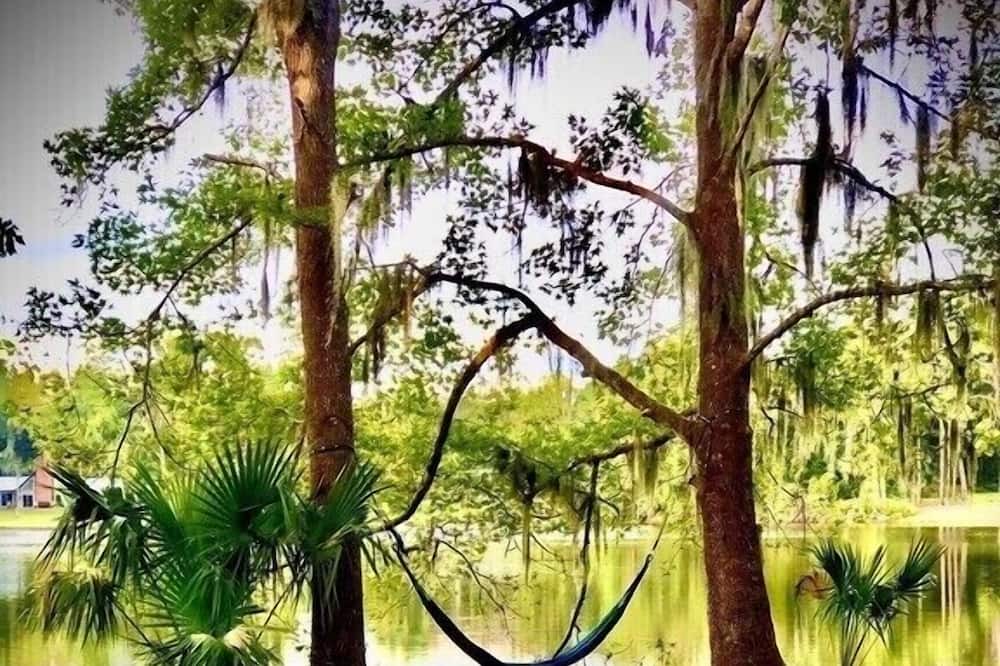 Photo of Outdoor in Palatka