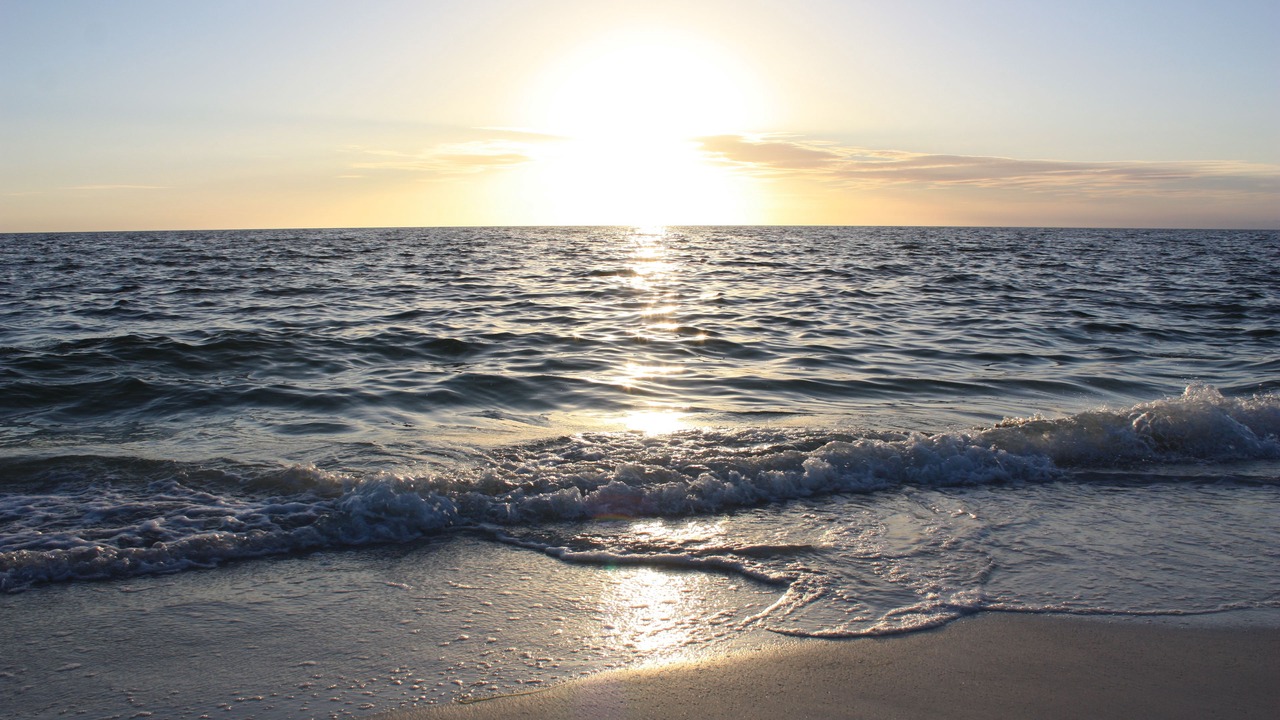 Photo of Others in Holmes Beach