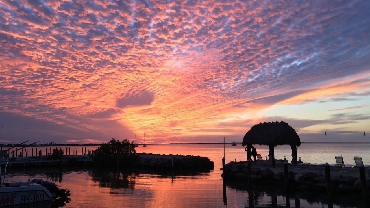 Photo of Others in Key Largo