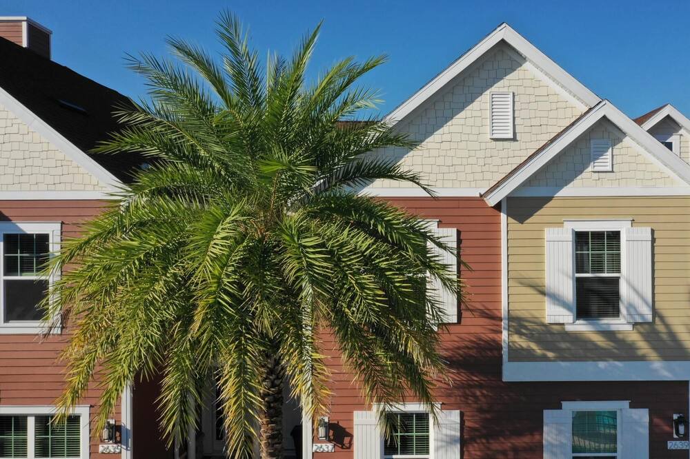 Photo of Outdoor in West Kissimmee