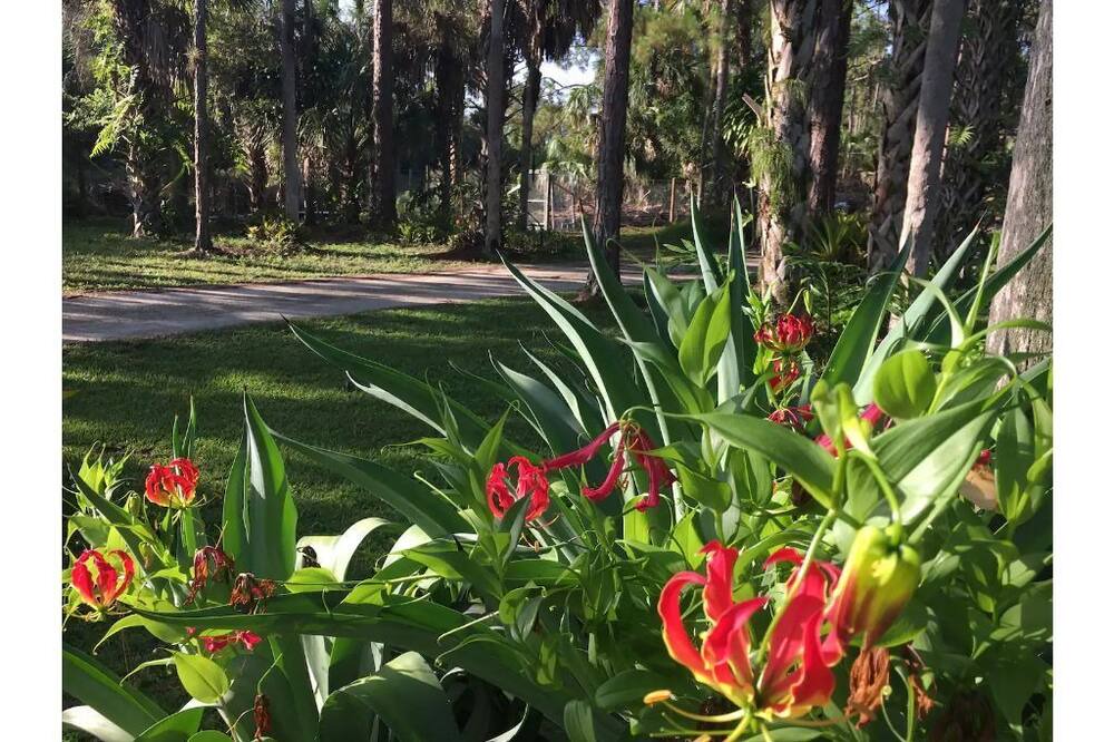 Photo of Outdoor in Rural Estates