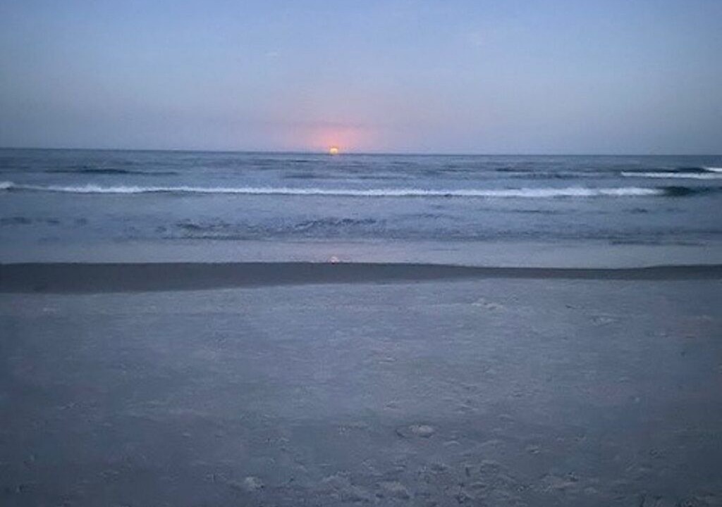 Photo of Others in Butler Beach
