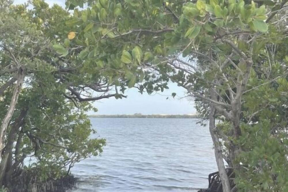 Photo of Others in St. Petersburg - Clearwater