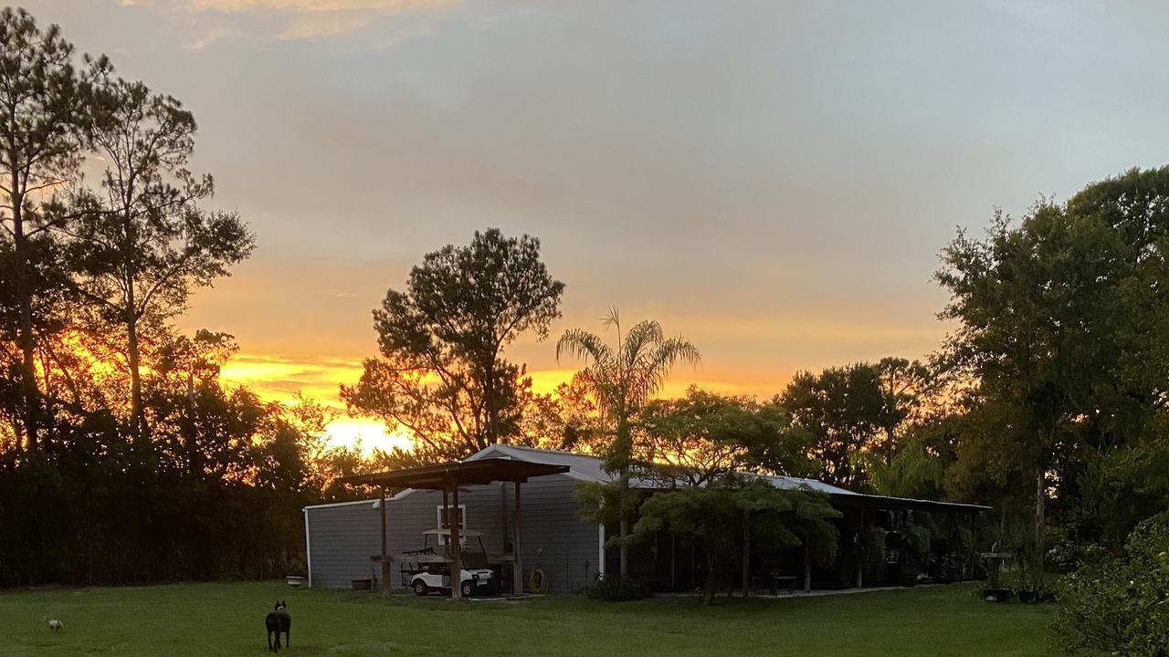 Photo of Outdoor in Land O' Lakes