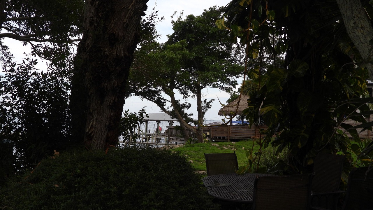 Photo of Outdoor in Tropic