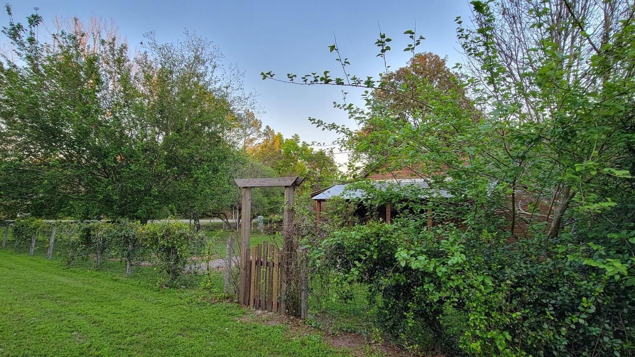 Photo of Outdoor in Worthington Springs