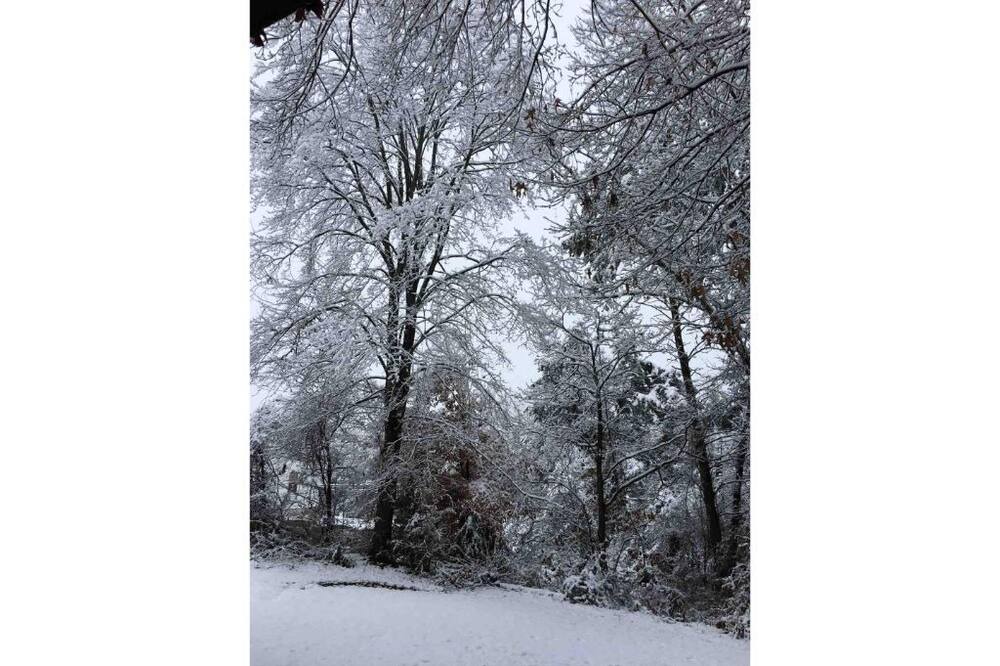 Photo of Others in Hudson