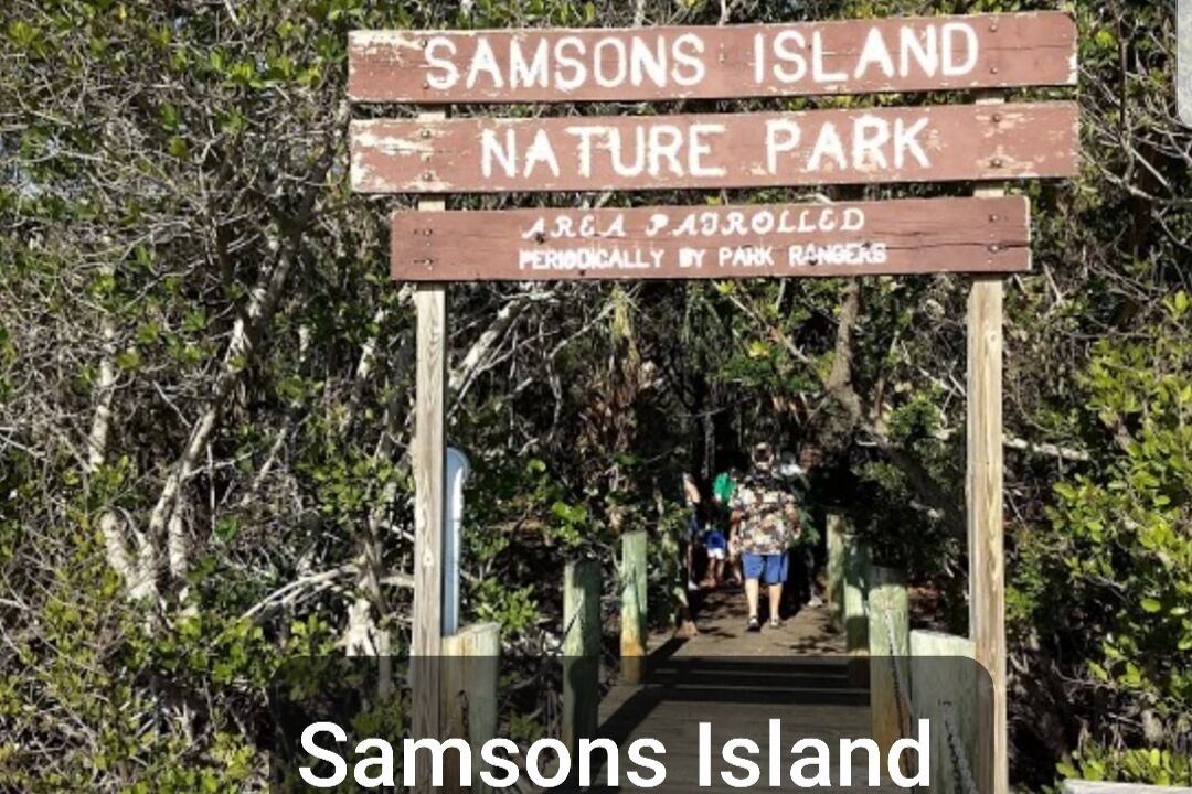 Photo of Outdoor in South Patrick Shores