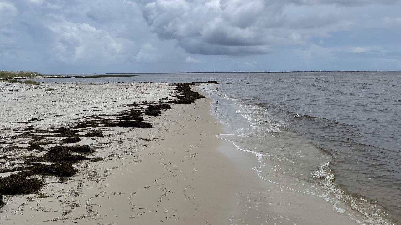 Photo of Others in Carrabelle