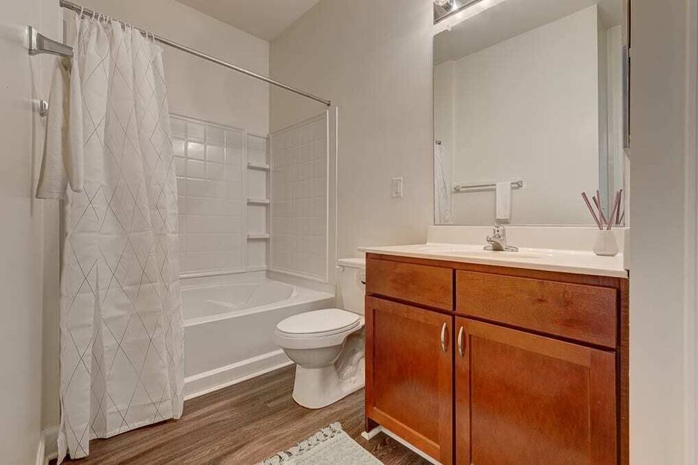 Photo of Bathroom in SouthPark