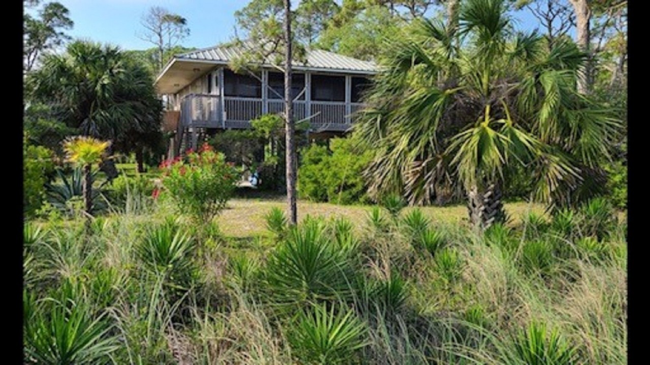 Photo of Outdoor in Panacea