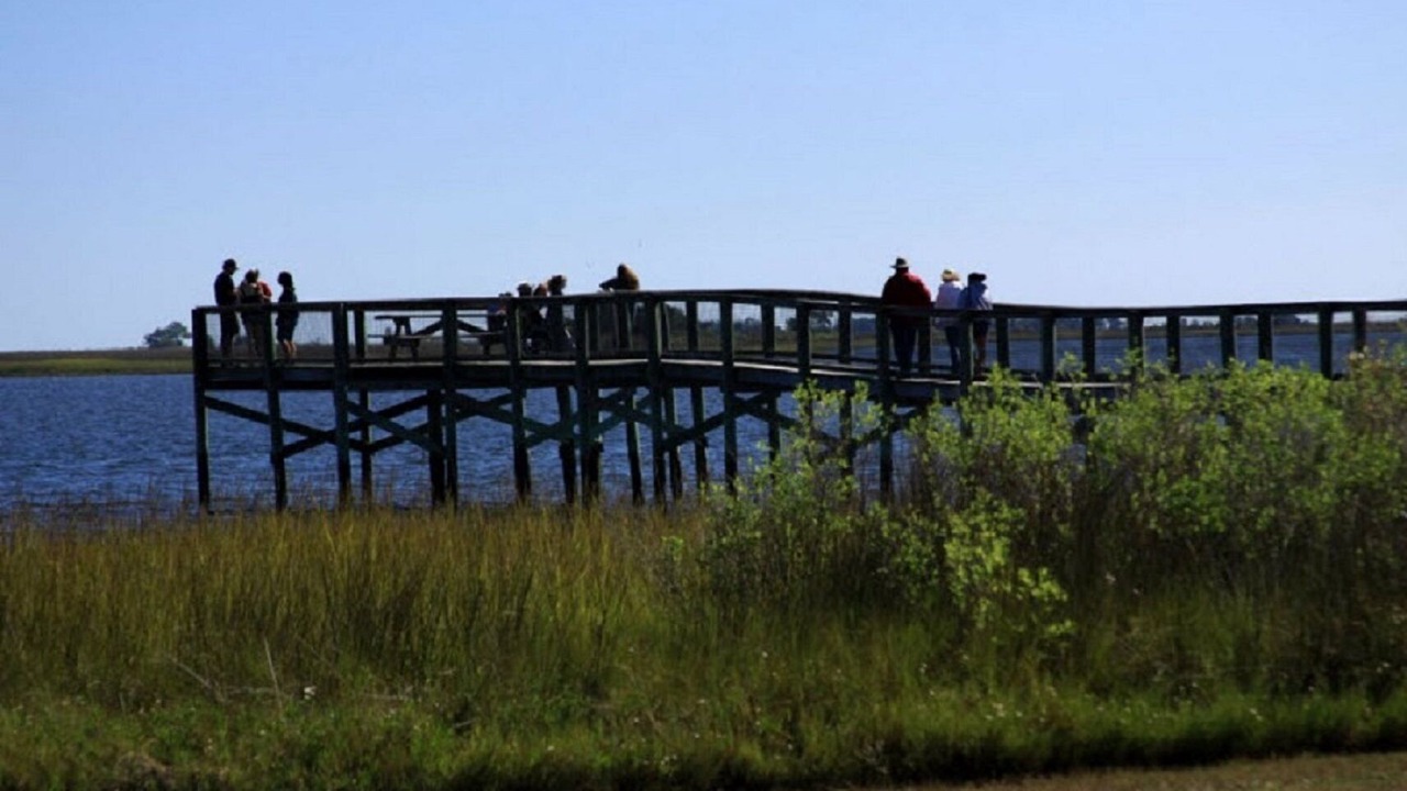Photo of Others in Panacea