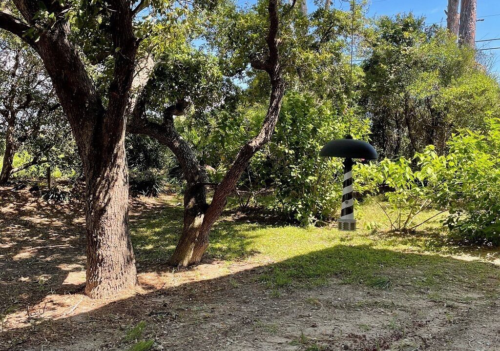 Photo of Outdoor in Panacea