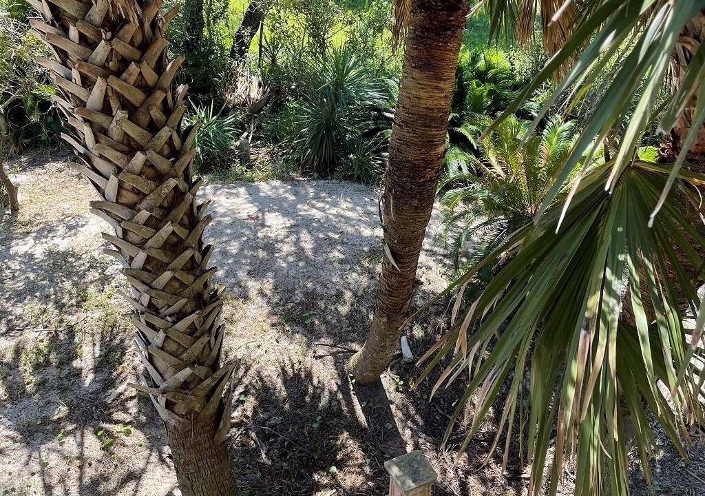 Photo of Outdoor in Panacea