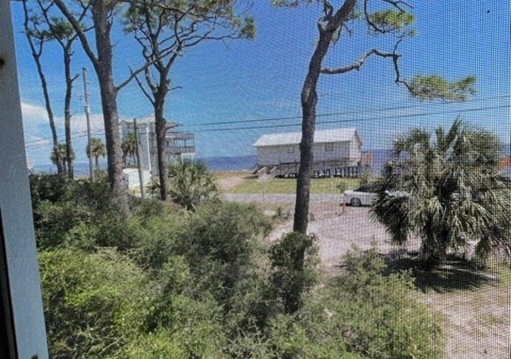 Photo of Outdoor in Panacea