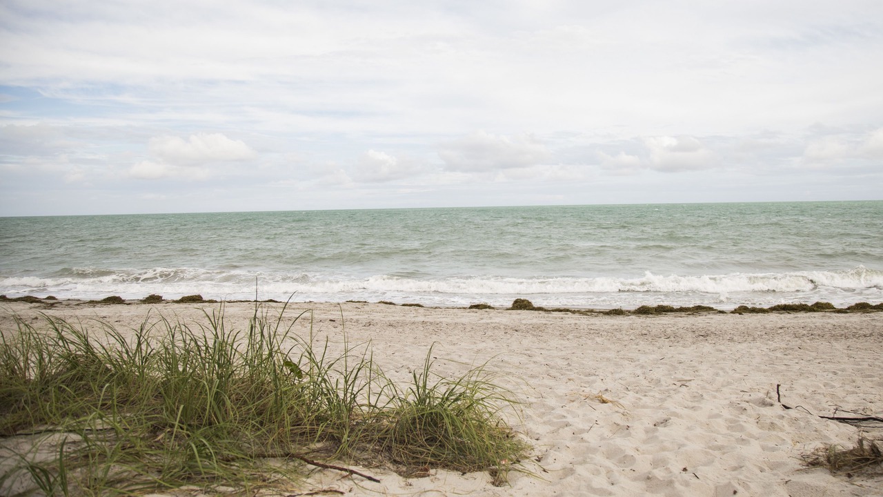 Photo of Others in Key Biscayne
