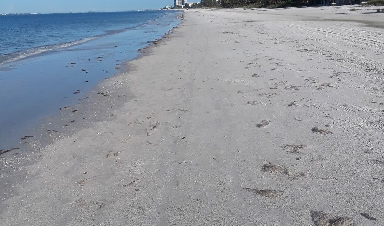 Photo of Others in Mid Island