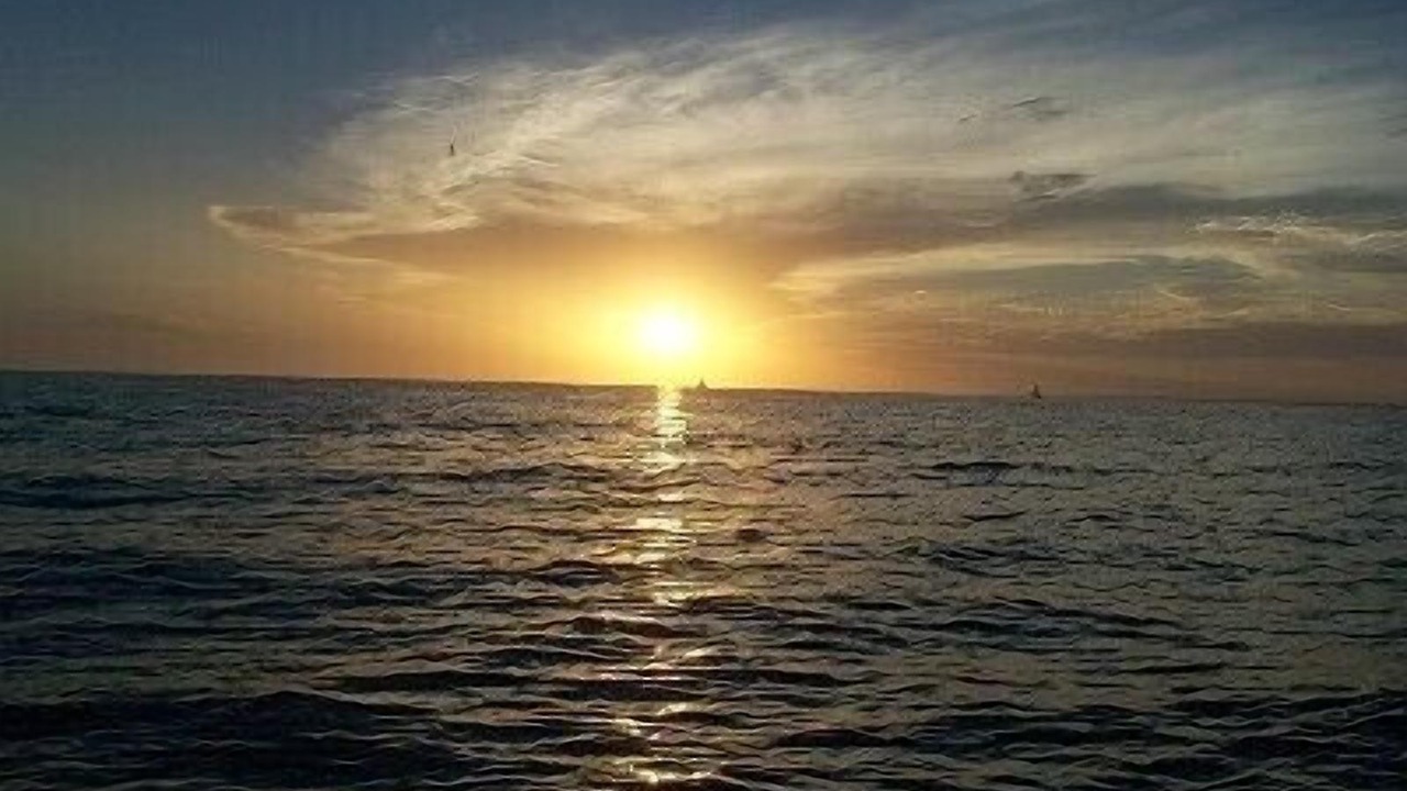 Photo of Others in Mid Island