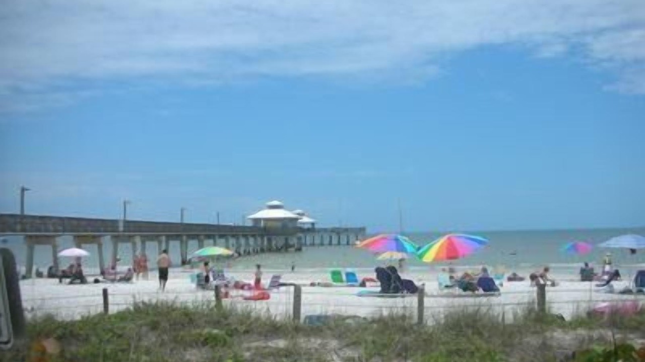 Photo of Others in Mid Island