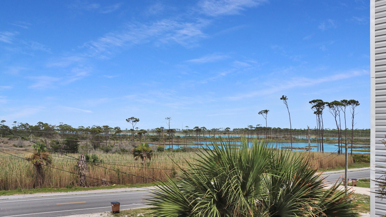 Photo of Others in Cape San Blas