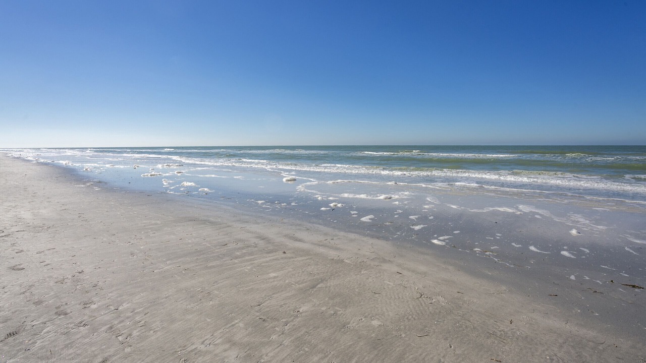 Photo of Others in Indian Rocks Beach
