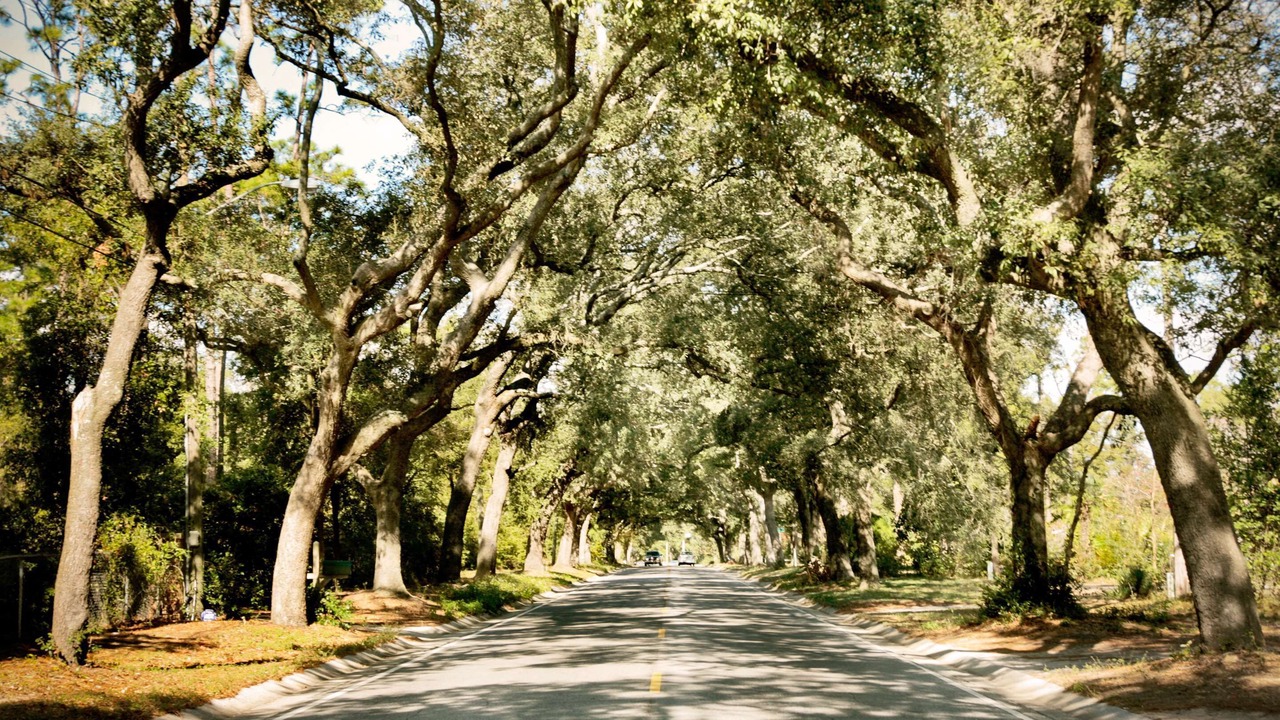 Photo of Outdoor in Northeast Pensacola