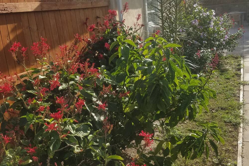 Photo of Outdoor in Greenacres