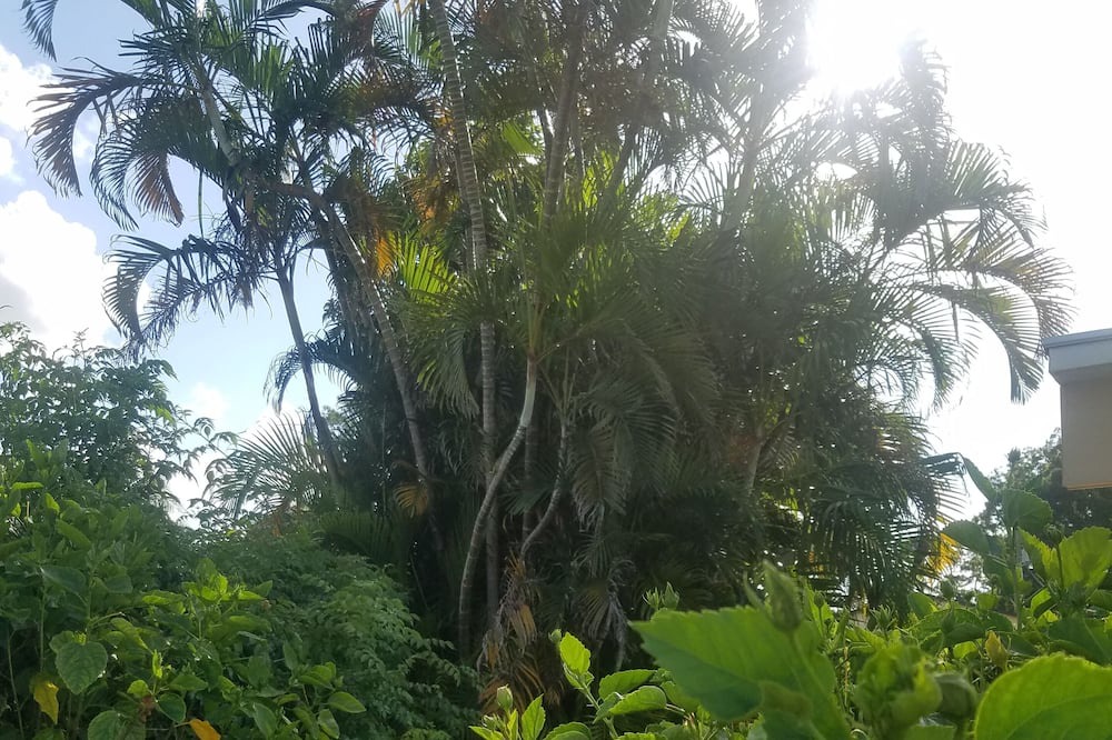 Photo of Outdoor in Greenacres