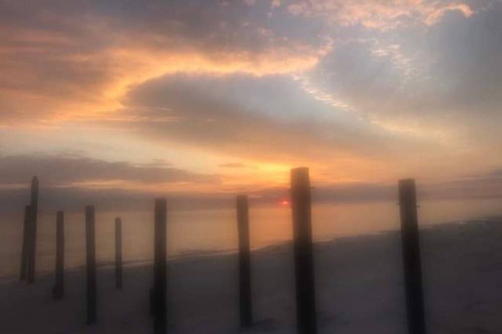 Photo of Others in Alligator Point