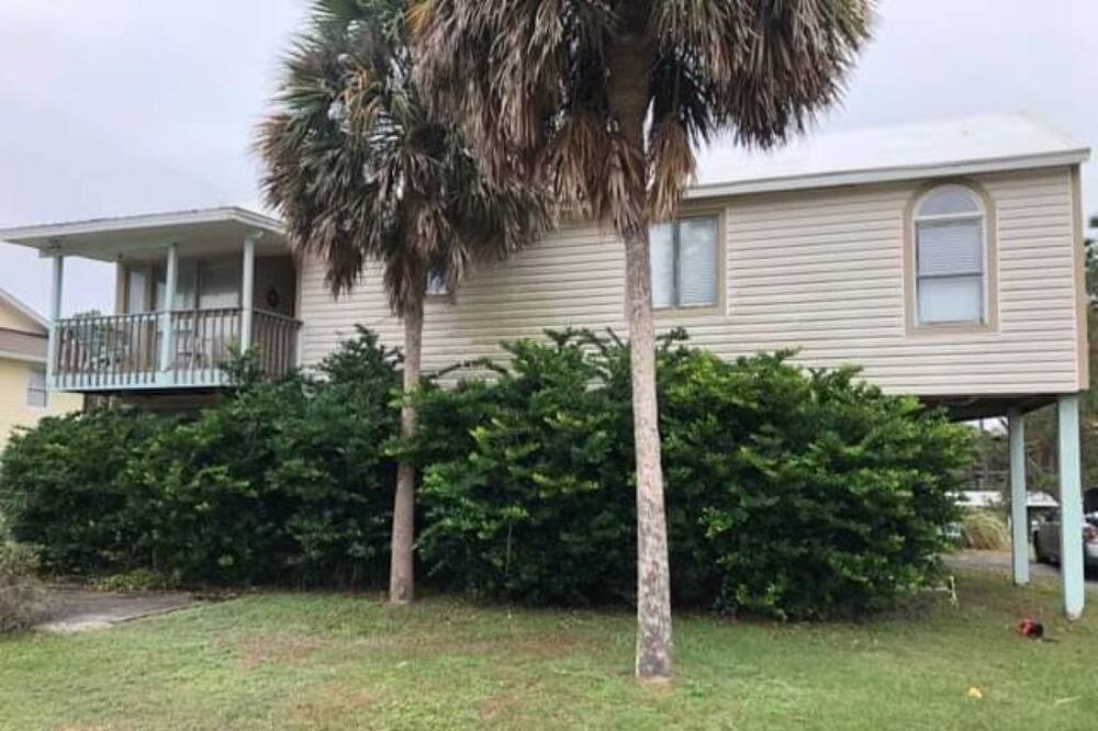 Photo of Outdoor in Alligator Point