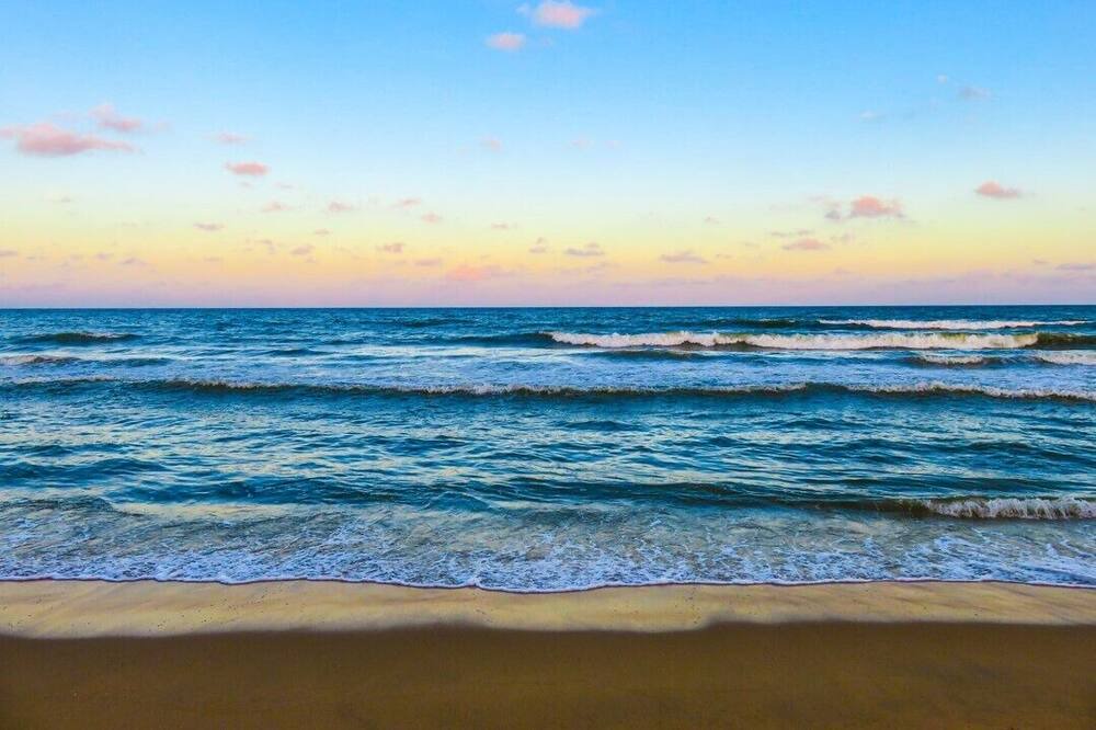 Photo of Others in Mid Island