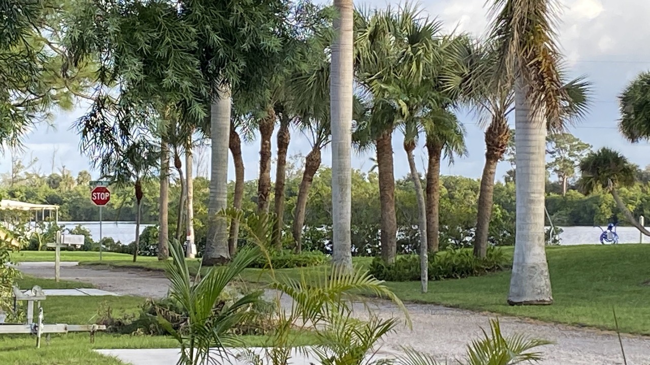 Photo of Outdoor in Palm City