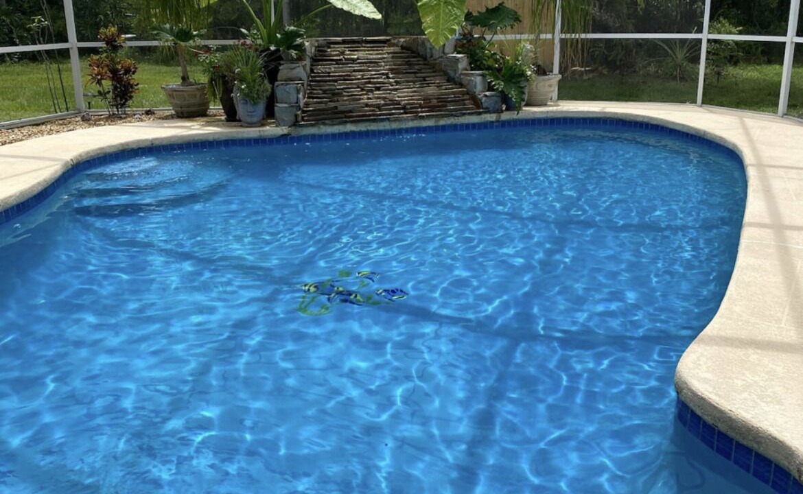 Photo of Outdoor in Land O' Lakes