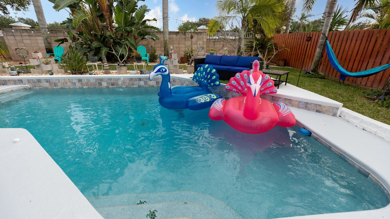 Photo of Outdoor in Tropic