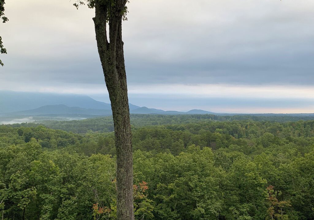 Photo of Outdoor in Landrum