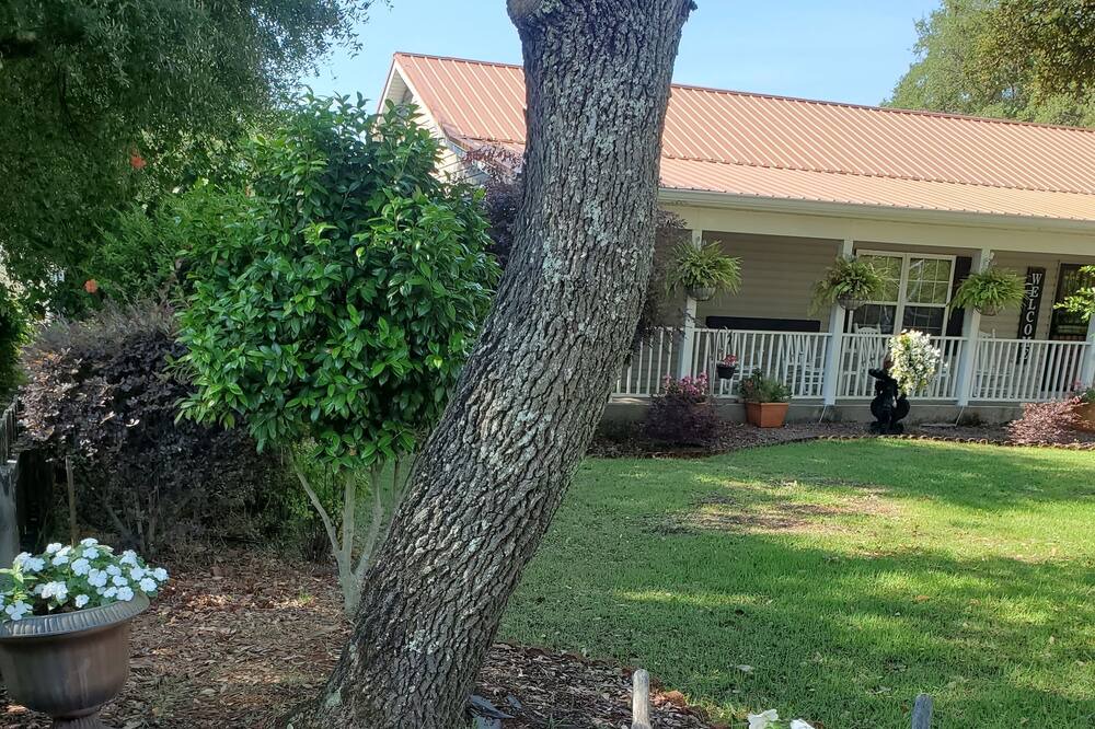 Photo of Outdoor in Magnolia Bluffs